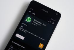 WhatsApp notifications are broken on Windows Phone right now