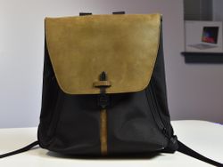  Review of the WaterField Staad backpack for Surface Book 2