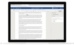 New Microsoft Word feature will suggest 'inclusive' language edits