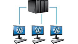 Which managed hosting plan designed for WordPress sites is the best deal?
