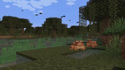 Latest Minecraft: Java Edition snapshot includes the Warden and Darkness
