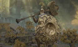 The best Elden Ring shields you should equip right away