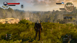 Celebrating 10 years of Geralt with The Witcher 3