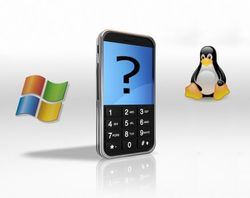 Sync your Windows Mobile 6.5 device with a Linux box