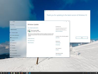Understanding the Windows 10 May 2019 Update rollout process