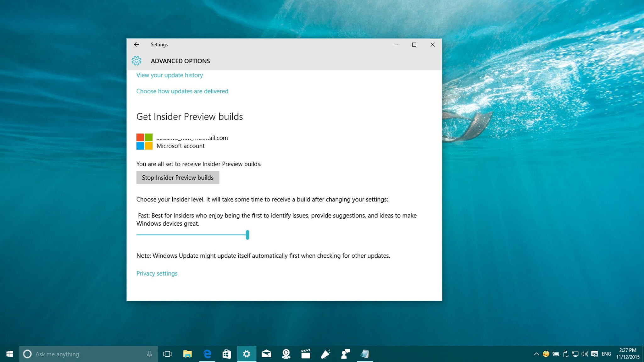latest windows 10 pro insider preview build