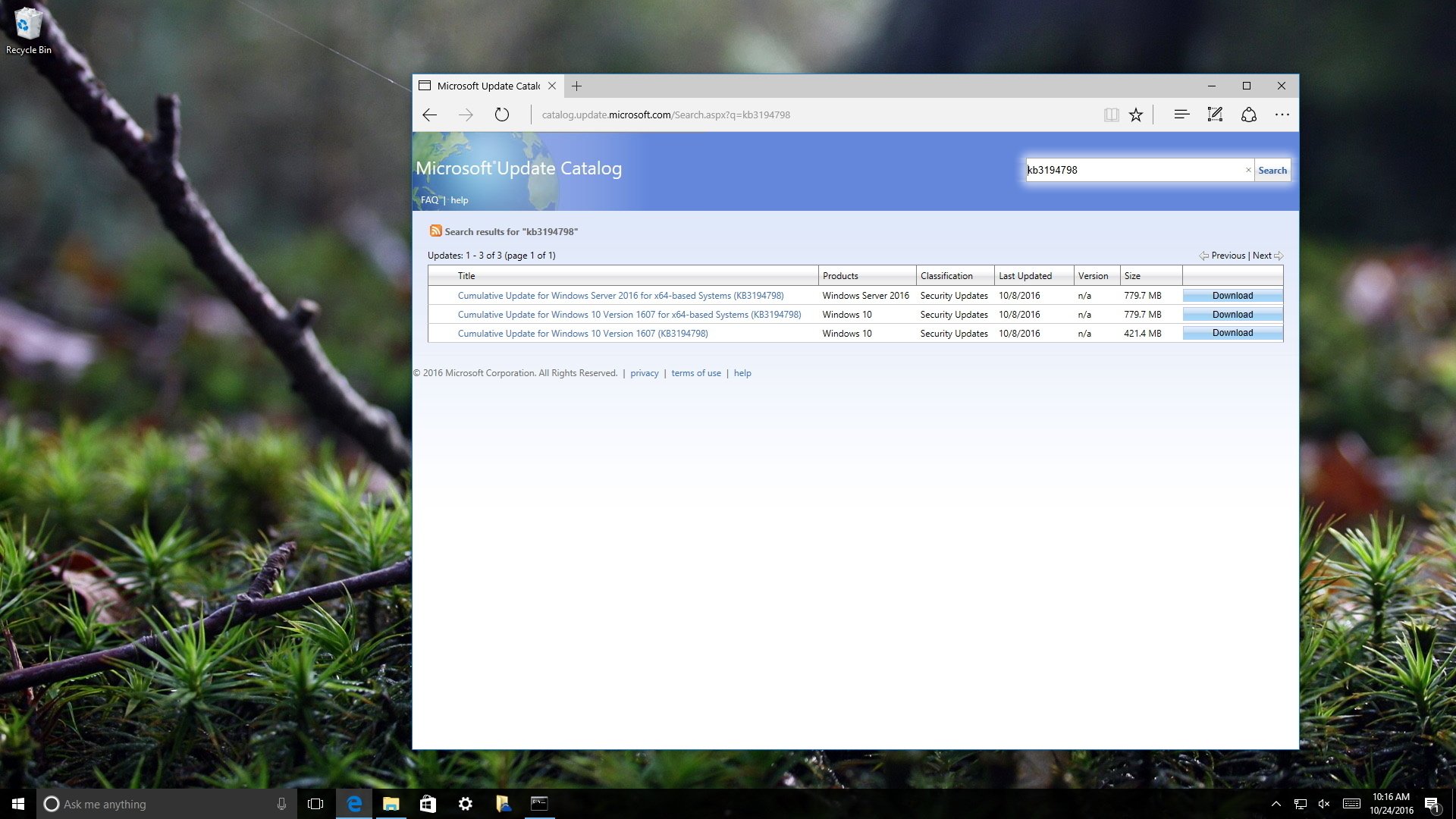 microsoft windows 8.1 bing download