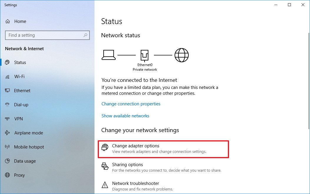 image depicting the network status page in settings