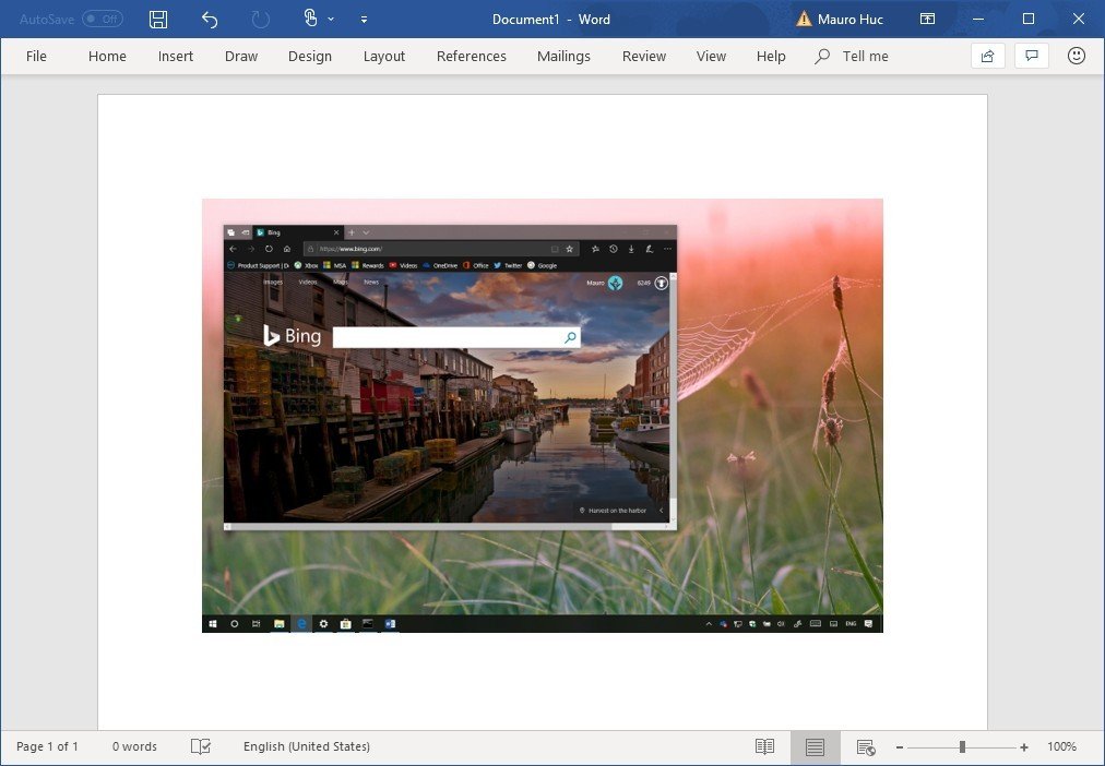 capture screenshot windows