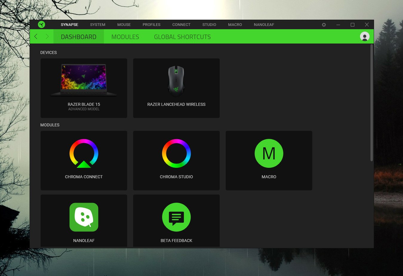 Why is Razer Synapse Not Opening on Windows 10